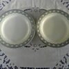 Lot 2 assiettes plates (Salins)