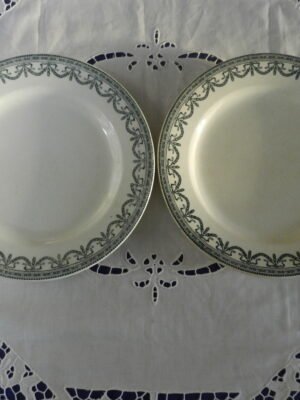 Lot 2 assiettes plates (Salins)