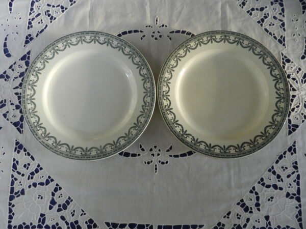 Lot 2 assiettes plates (Salins)