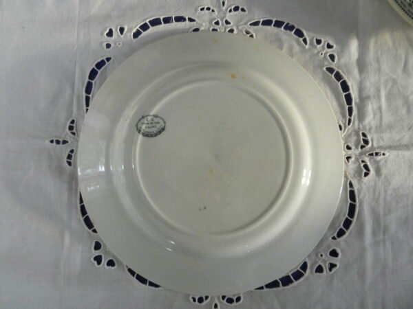 Lot 2 assiettes plates (Salins)